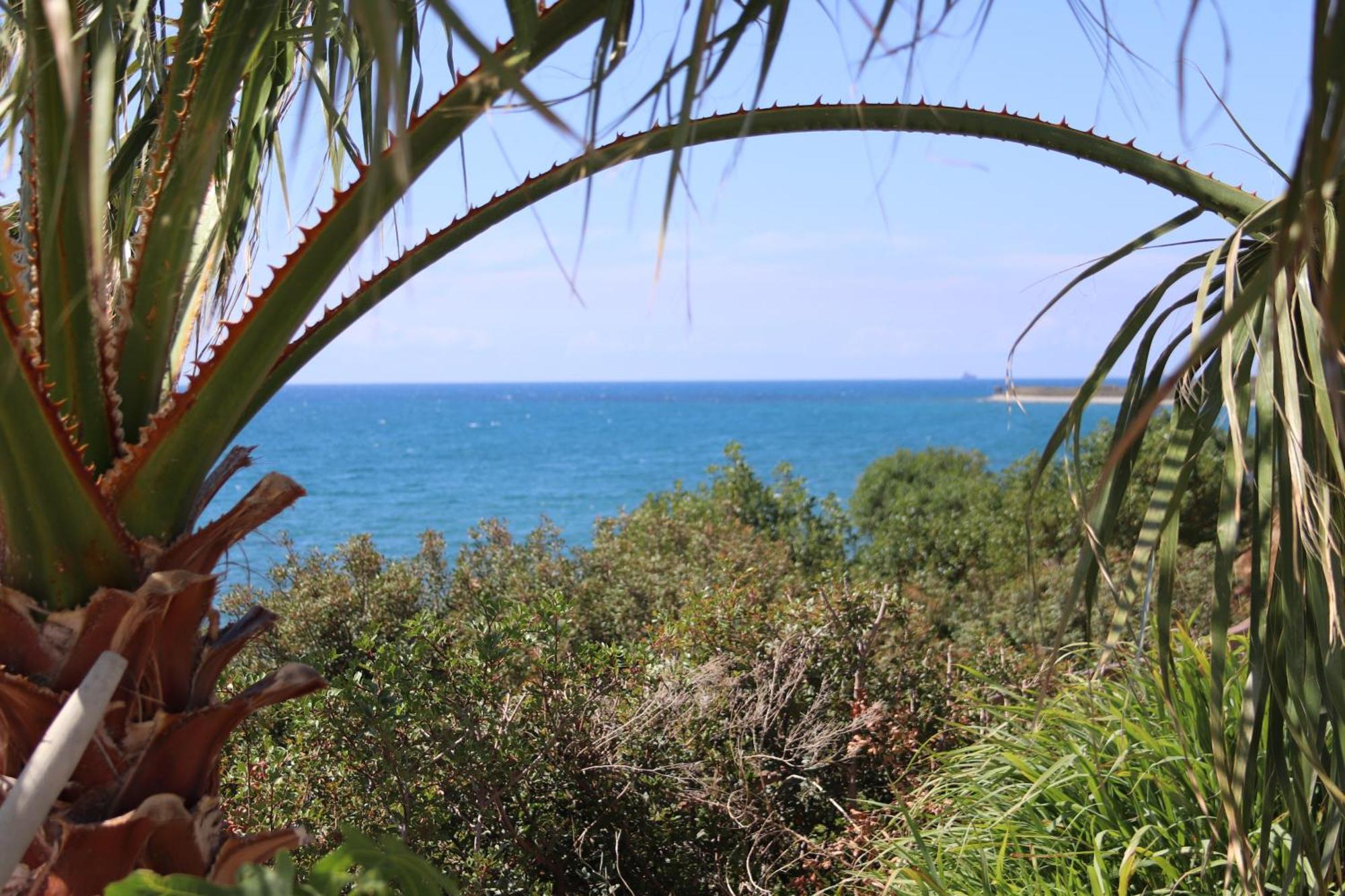 Summer Dream Cyprus Maroni Exterior foto